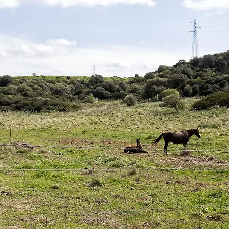Raimonda Сasa de vacaciones Putifigari