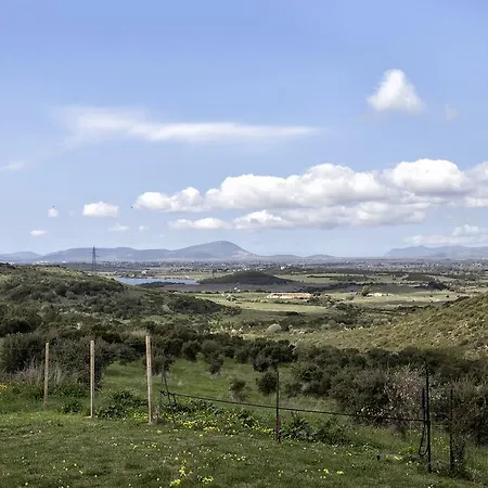 Raimonda