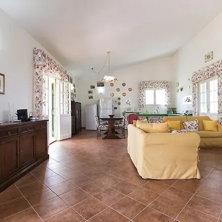 Raimonda * Putifigari